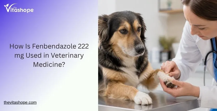 How Is Fenbendazole 222 mg Used in Veterinary Medicine?