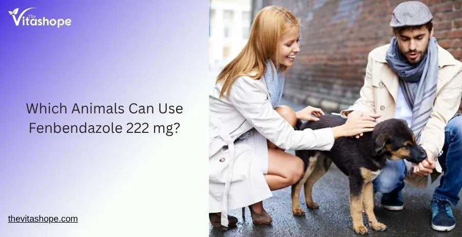 Which Animals Can Use Fenbendazole 222 mg?