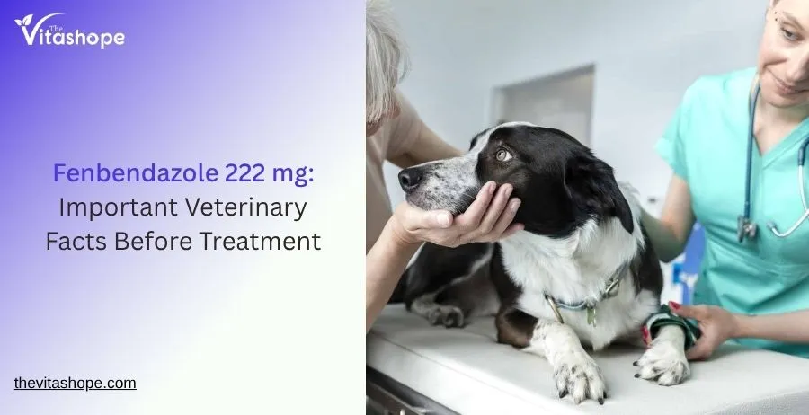Fenbendazole 222 mg: Important Veterinary Facts Before Treatment