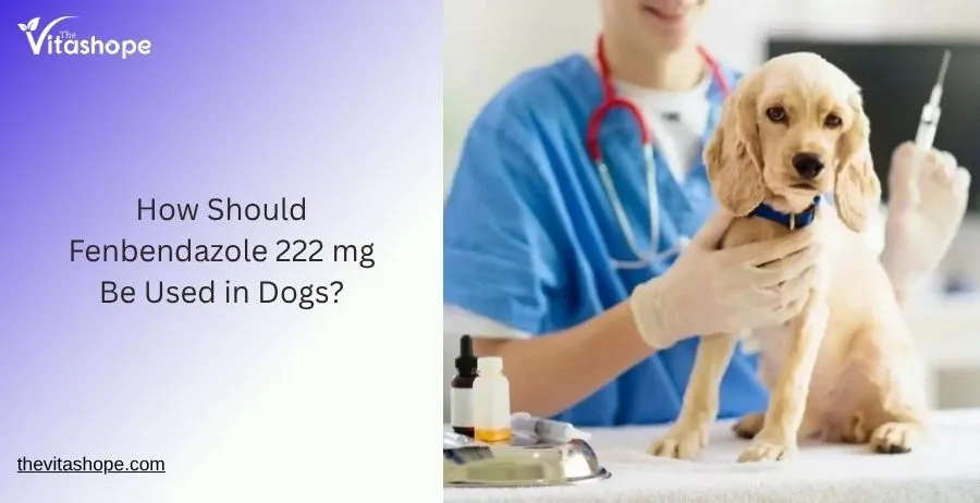 How Should Fenbendazole 222 mg Be Used in Dogs?