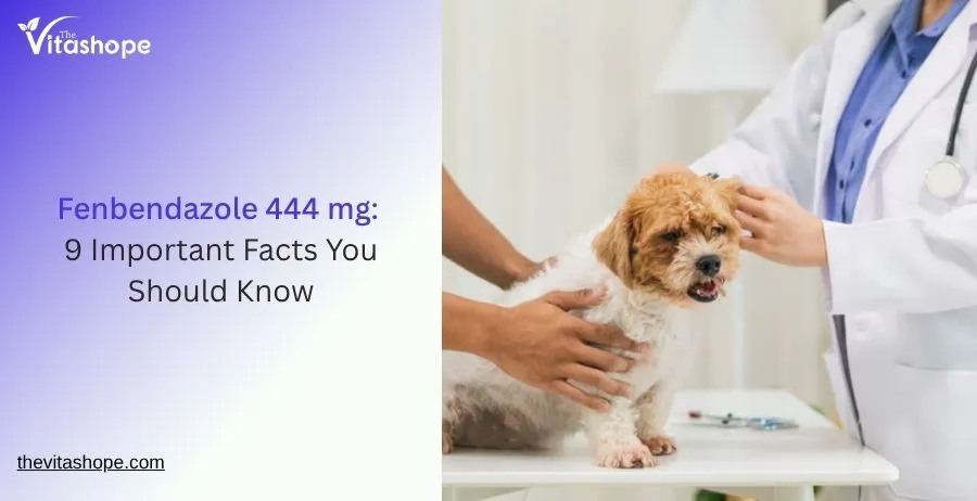 Fenbendazole 444 mg: 9 Important Facts You Should Know