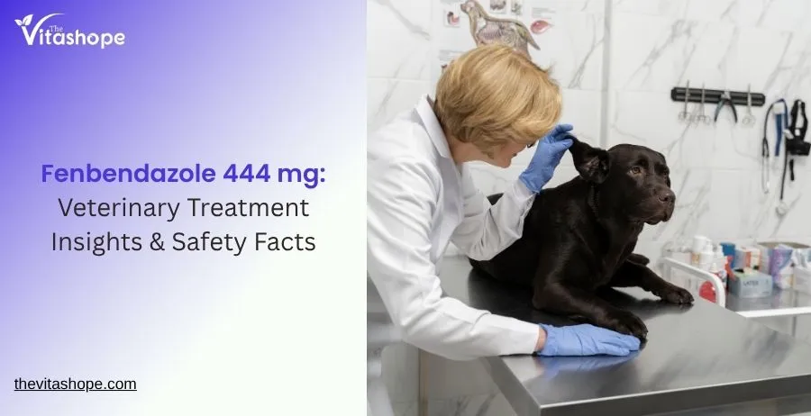 Fenbendazole 444 mg: Veterinary Treatment Insights & Safety Facts