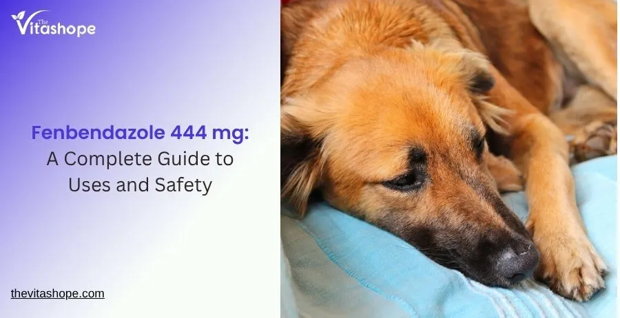 Fenbendazole 444 mg: A Complete Guide to Uses and Safety