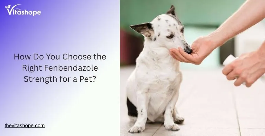 How Do You Choose the Right Fenbendazole Strength for a Pet?