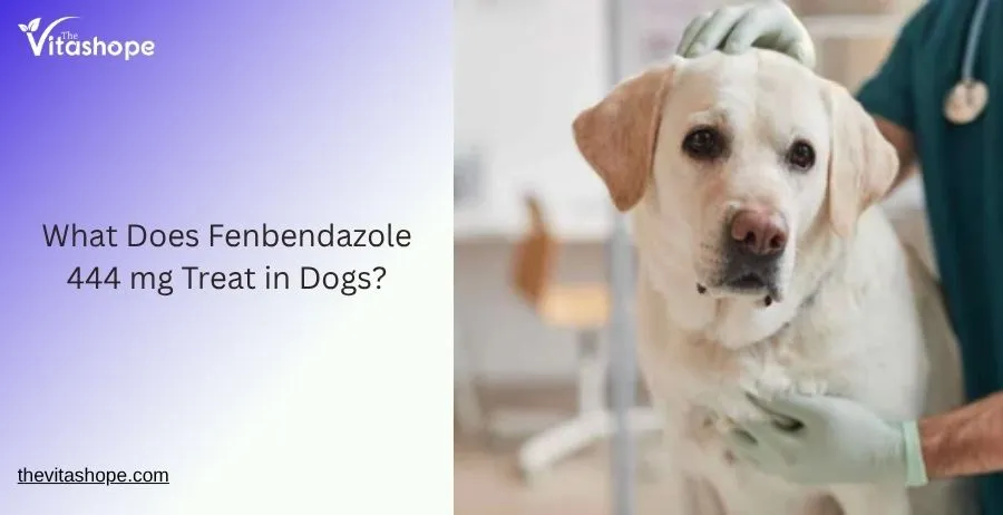 What Does Fenbendazole 444 mg Treat in Dogs?