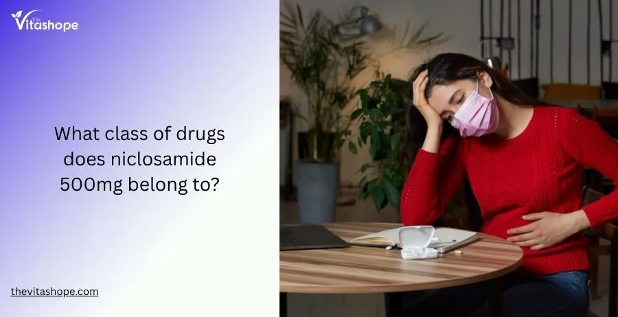 What class of drugs does niclosamide 500mg belong to?