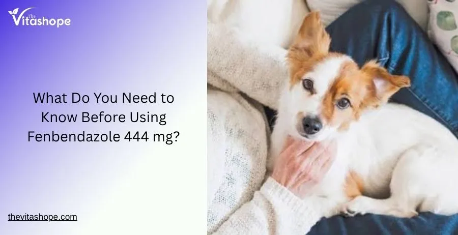 What Do You Need to Know Before Using Fenbendazole 444 mg?