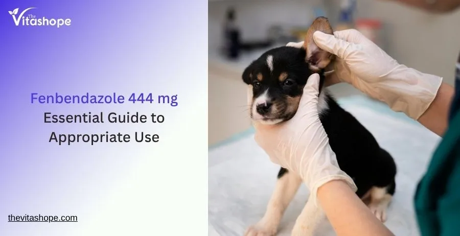 Fenbendazole 444 mg – Essential Guide to Appropriate Use