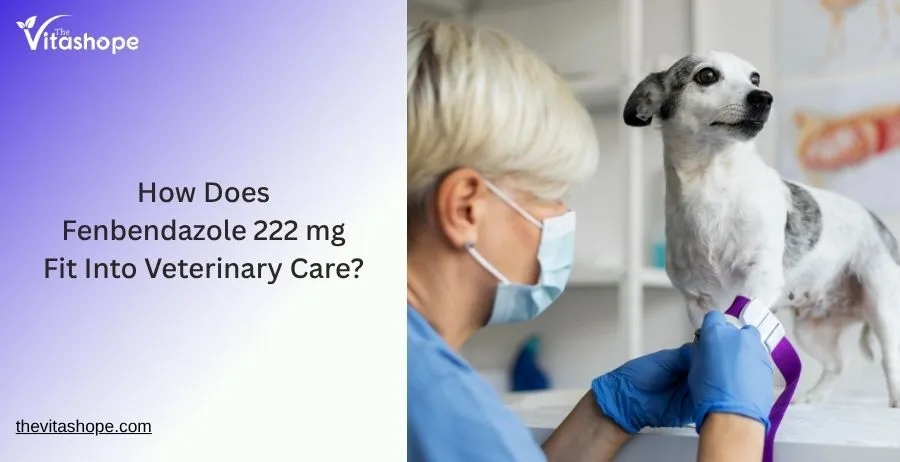 How Does Fenbendazole 222 mg Fit Into Veterinary Care?