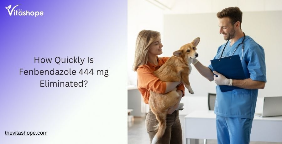 How Quickly Is Fenbendazole 444 mg Eliminated?