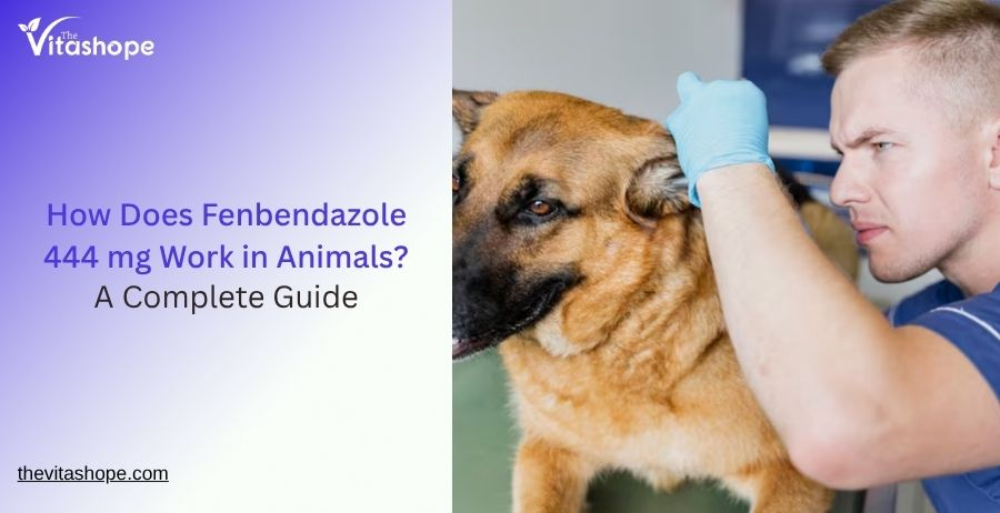 How Does Fenbendazole 444 mg Work in Animals? A Complete Guide